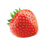 Fresh Strawberry